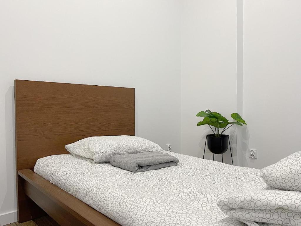 Polonia Art Apartments In The City Center Katowice Bagian luar foto