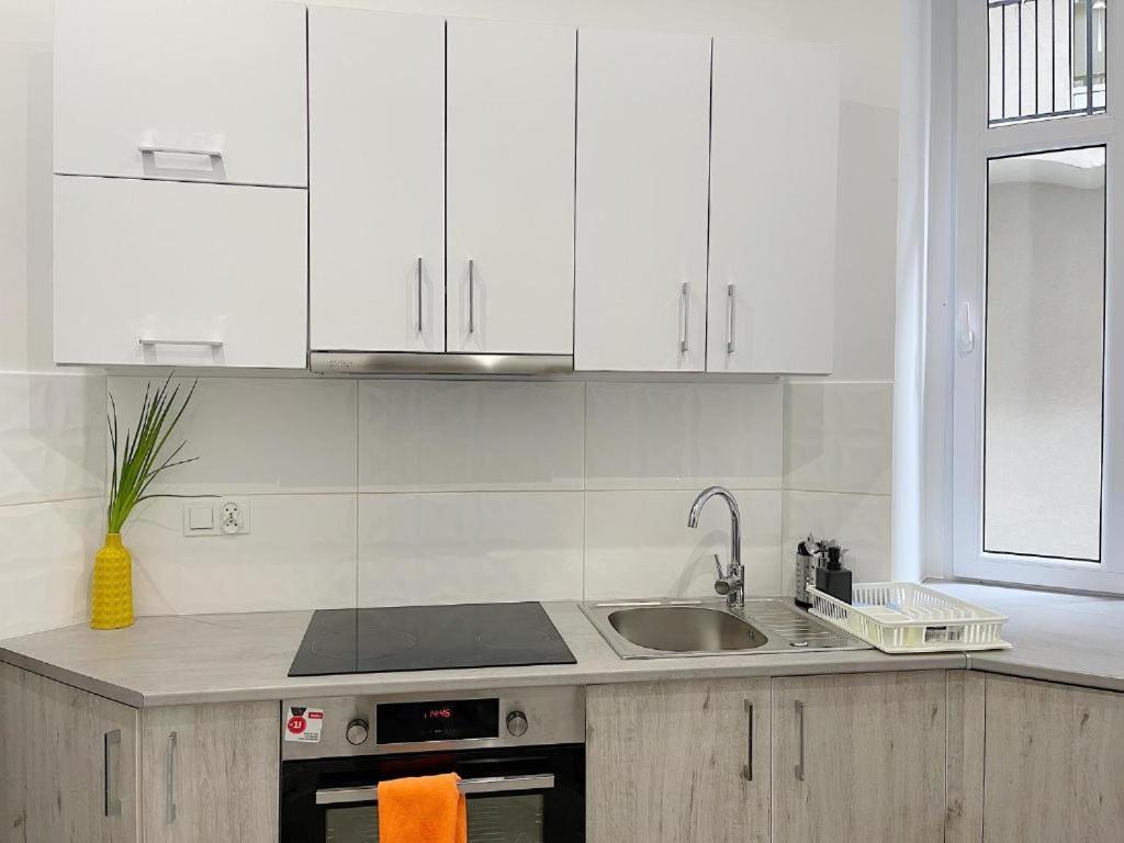 Polonia Art Apartments In The City Center Katowice Bagian luar foto